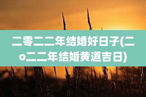 二零二二年结婚好日子(二o二二年结婚黄道吉日)