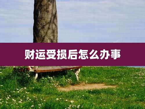财运受损后怎么办事