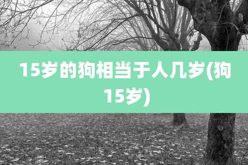 15岁的狗相当于人几岁(狗 15岁)