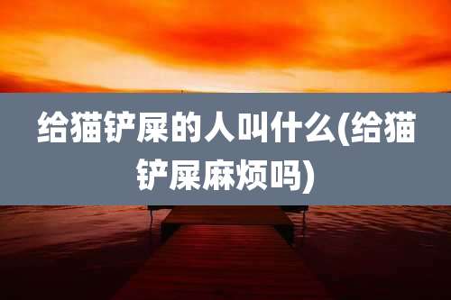 给猫铲屎的人叫什么(给猫铲屎麻烦吗)