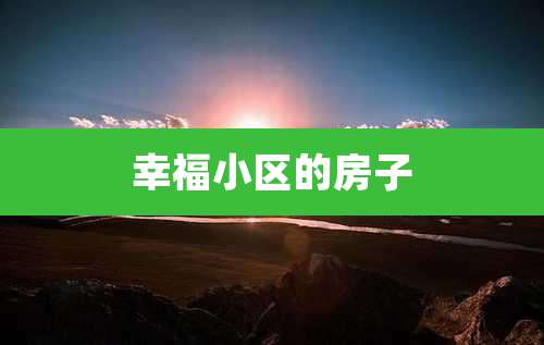 幸福小区的房子