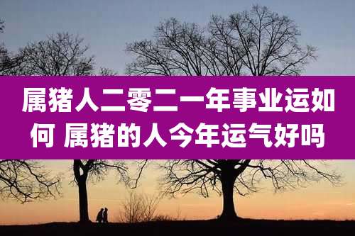 属猪人二零二一年事业运如何 属猪的人今年运气好吗