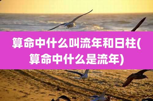 算命中什么叫流年和日柱(算命中什么是流年)