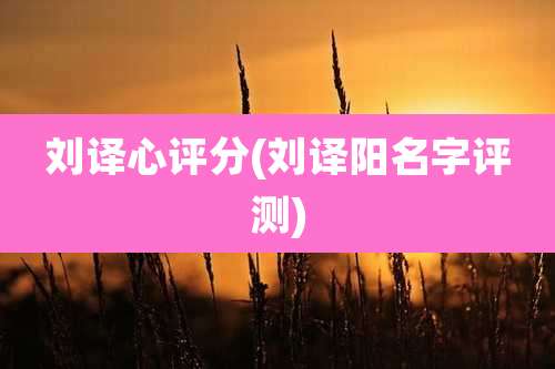 刘译心评分(刘译阳名字评测)