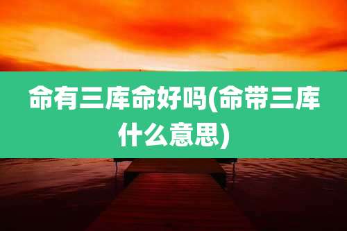命有三库命好吗(命带三库什么意思)