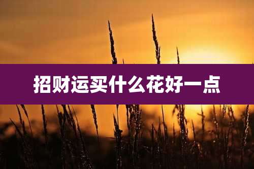 招财运买什么花好一点