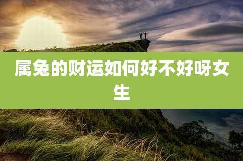 属兔的财运如何好不好呀女生