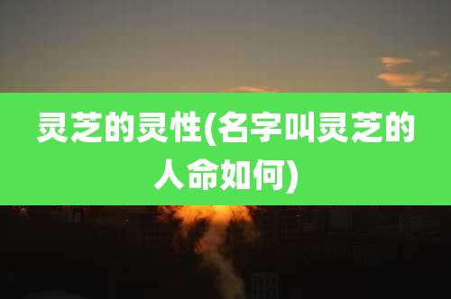 灵芝的灵性(名字叫灵芝的人命如何)