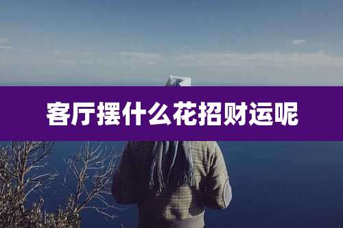 客厅摆什么花招财运呢