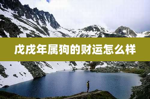 戊戌年属狗的财运怎么样