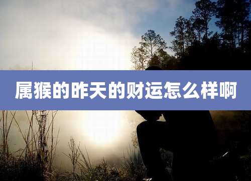 属猴的昨天的财运怎么样啊