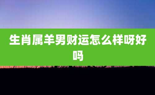 生肖属羊男财运怎么样呀好吗