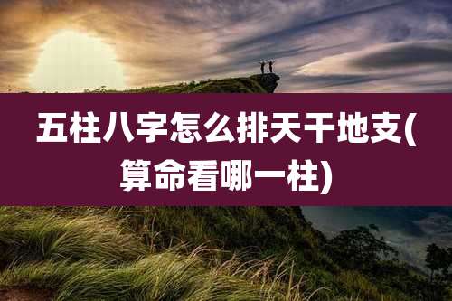 五柱八字怎么排天干地支(算命看哪一柱)