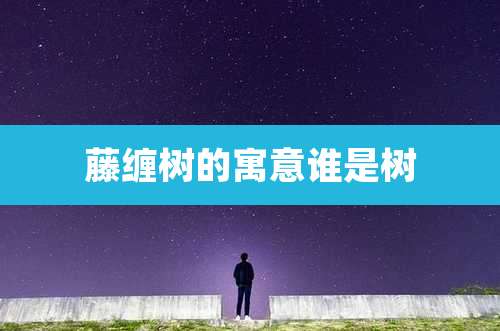 藤缠树的寓意谁是树