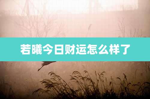 若曦今日财运怎么样了