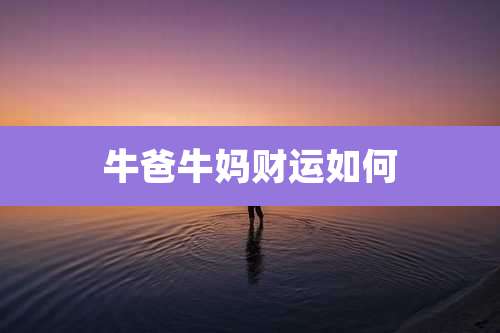 牛爸牛妈财运如何