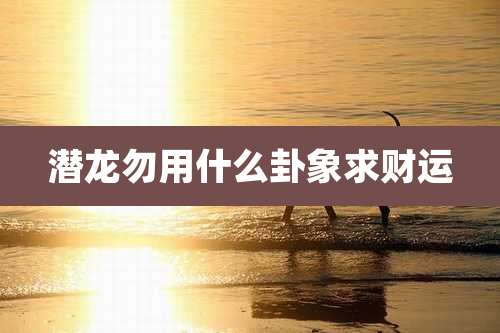 潜龙勿用什么卦象求财运