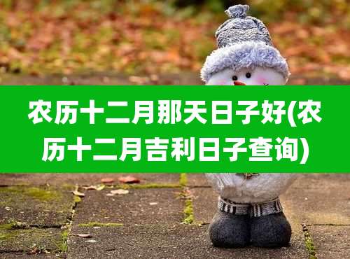 农历十二月那天日子好(农历十二月吉利日子查询)