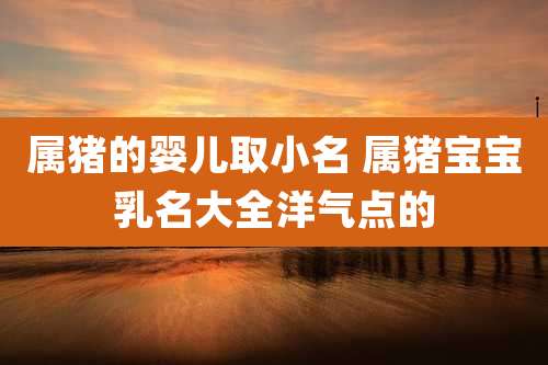 属猪的婴儿取小名 属猪宝宝乳名大全洋气点的