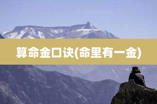 算命金口诀(命里有一金)