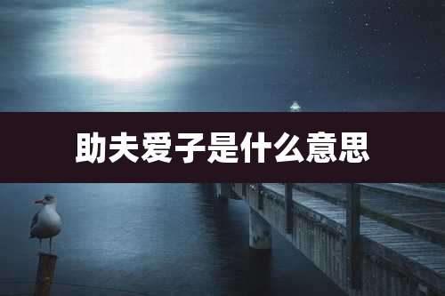 助夫爱子是什么意思