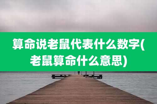 算命说老鼠代表什么数字(老鼠算命什么意思)