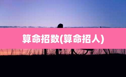 算命招数(算命招人)