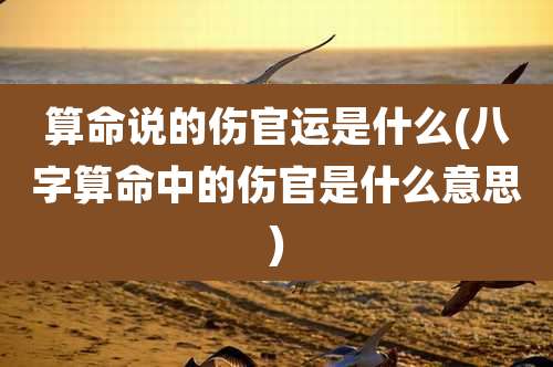 算命说的伤官运是什么(八字算命中的伤官是什么意思)