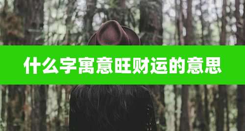 什么字寓意旺财运的意思