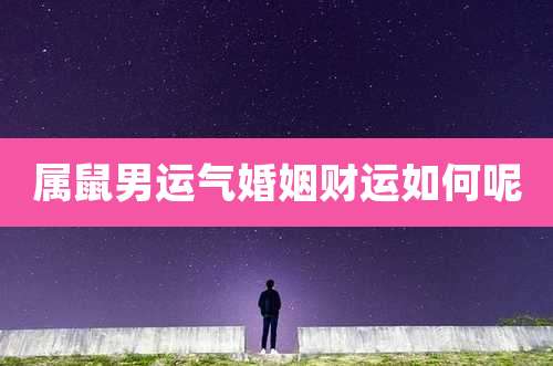 属鼠男运气婚姻财运如何呢