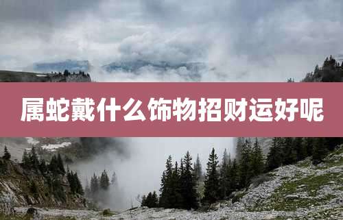 属蛇戴什么饰物招财运好呢