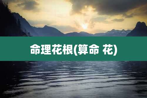 命理花根(算命 花)