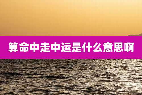 算命中走中运是什么意思啊