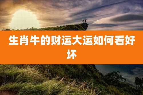 生肖牛的财运大运如何看好坏