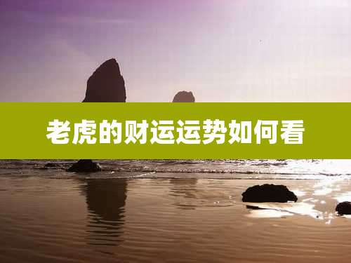 老虎的财运运势如何看