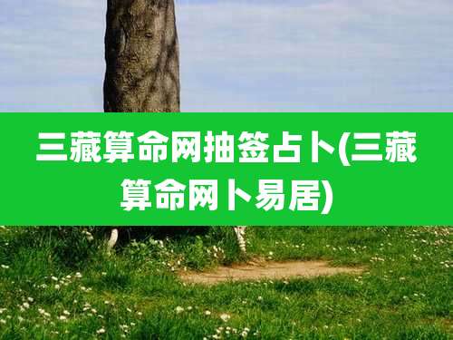 三藏算命网抽签占卜(三藏算命网卜易居)