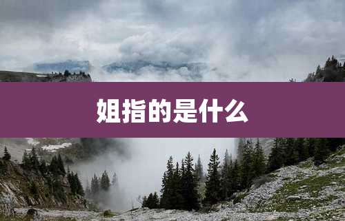 姐指的是什么