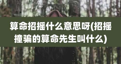 算命招摇什么意思呀(招摇撞骗的算命先生叫什么)