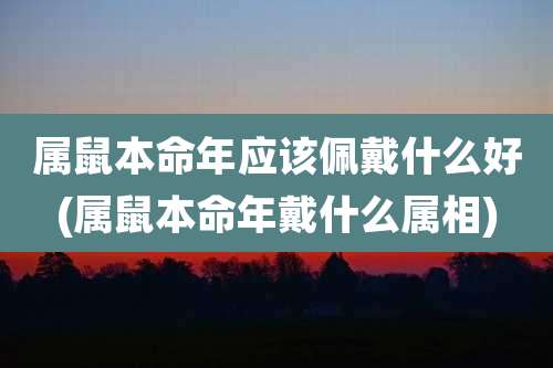 属鼠本命年应该佩戴什么好(属鼠本命年戴什么属相)