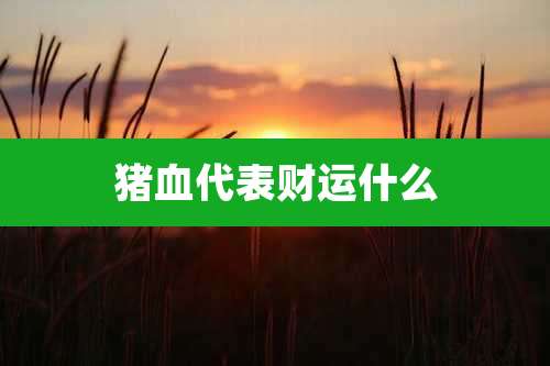 猪血代表财运什么