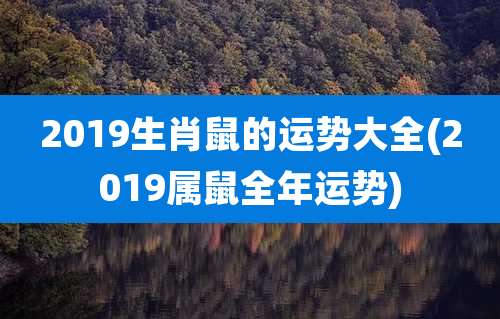 2019生肖鼠的运势大全(2019属鼠全年运势)