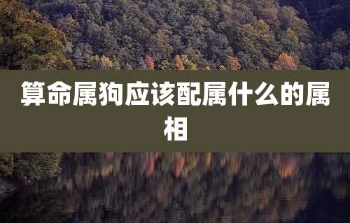 算命属狗应该配属什么的属相