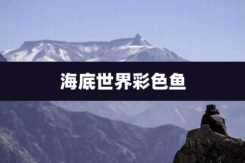 海底世界彩色鱼