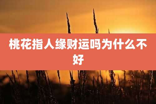 桃花指人缘财运吗为什么不好