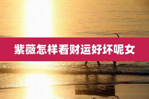 紫薇怎样看财运好坏呢女