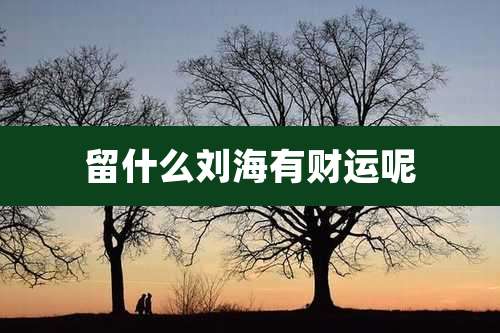 留什么刘海有财运呢