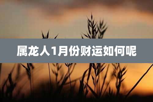 属龙人1月份财运如何呢