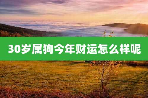 30岁属狗今年财运怎么样呢