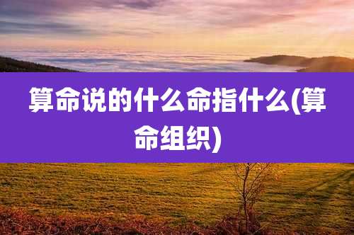 算命说的什么命指什么(算命组织)