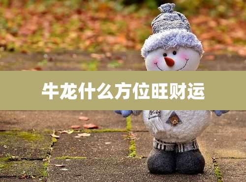 牛龙什么方位旺财运